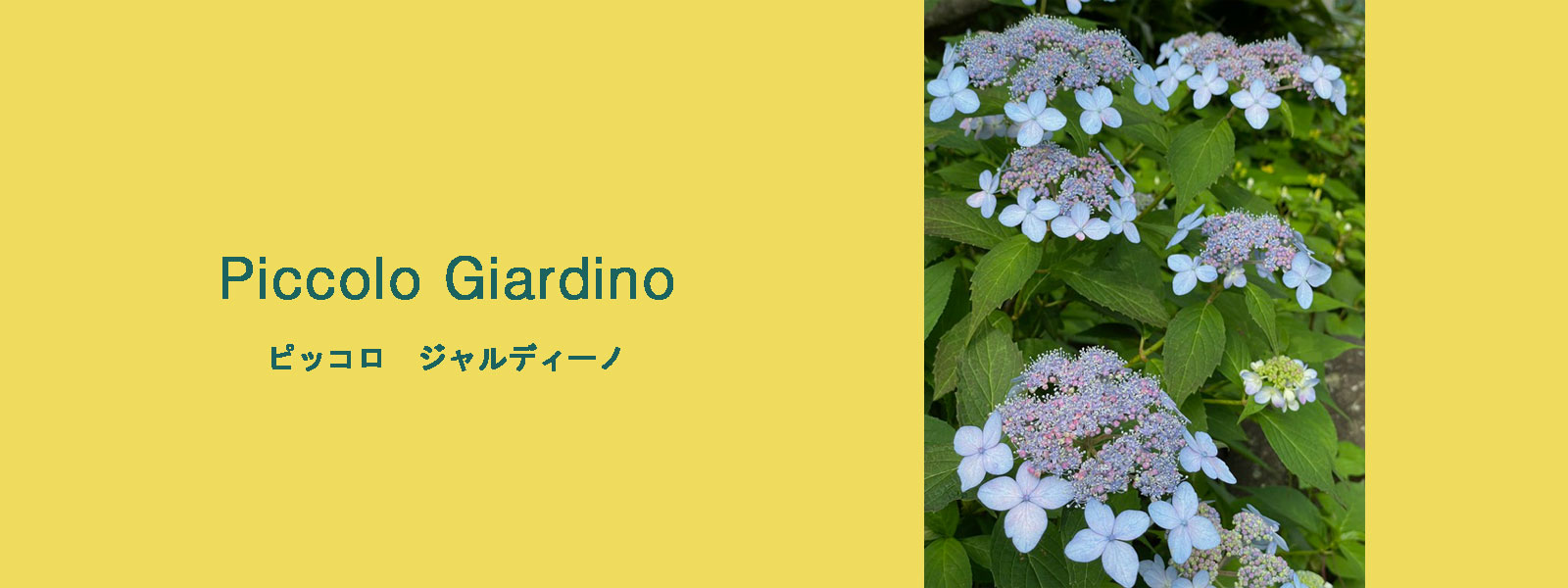 ピッコロジャルディーノ　鶴舞　イタリア　piccologiardino
