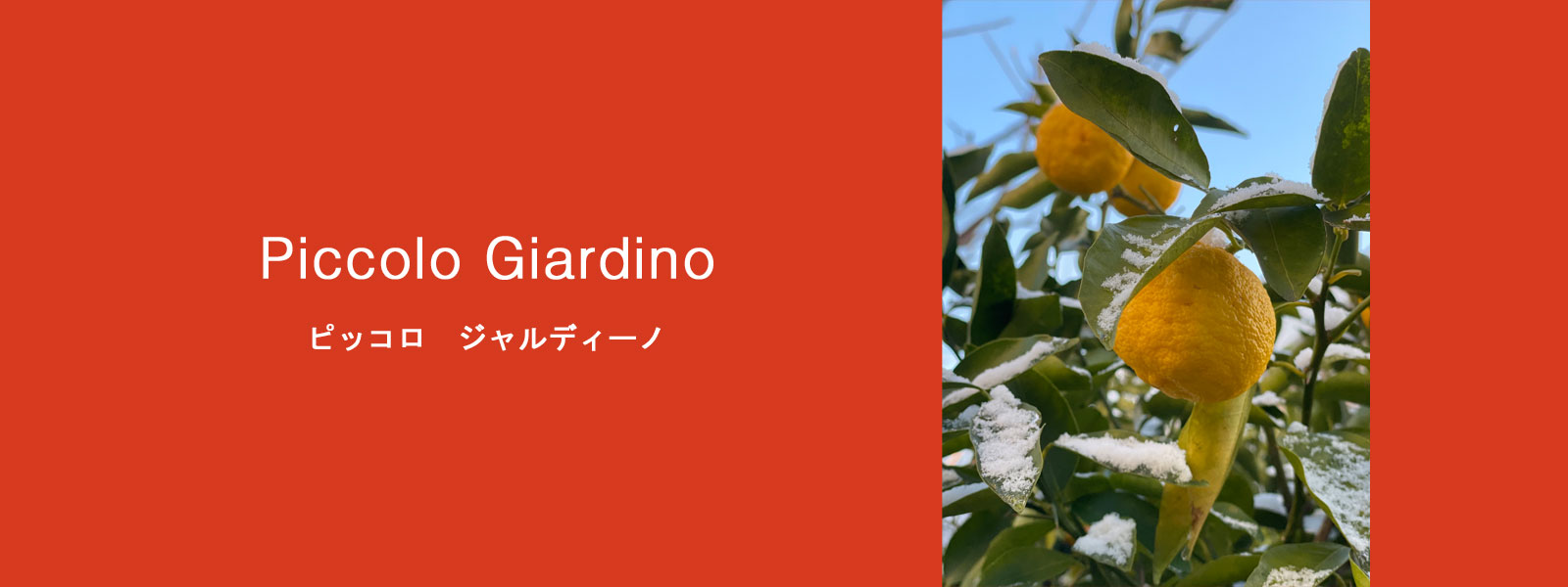 ピッコロジャルディーノ　鶴舞　イタリア　piccologiardino