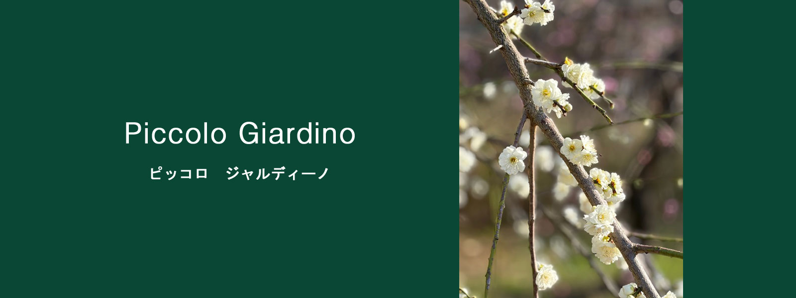 ピッコロジャルディーノ　鶴舞　イタリア　piccologiardino